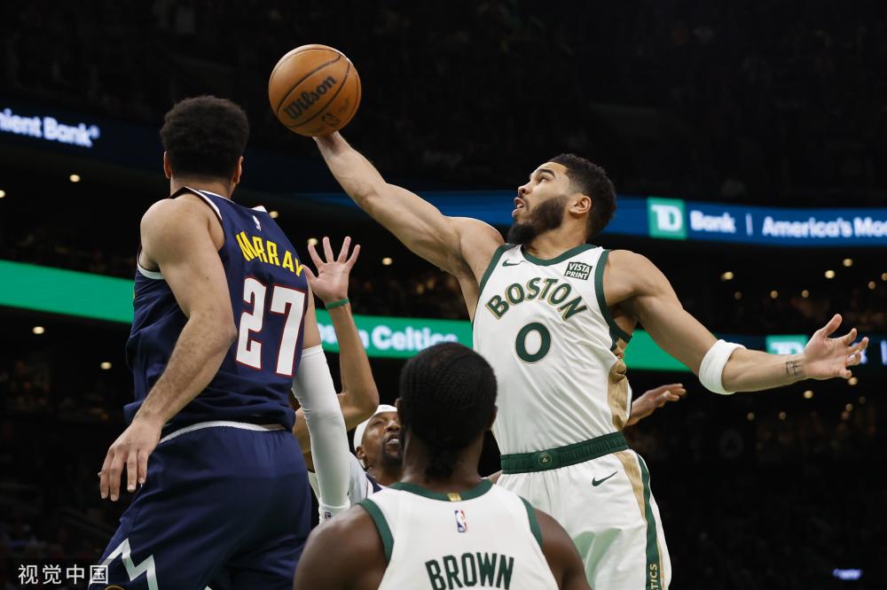 毛球再添一 毛球再添一